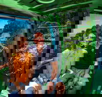 Sightseeing Kuranda Self-Driving Tour - Kempsey Accommodation