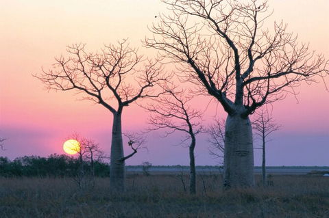 8-Day Outback Experience From Queensland - Kempsey Accommodation 0