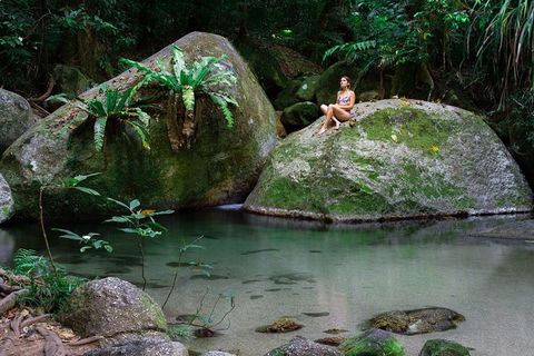 Mossman Gorge Adventure Day - Kempsey Accommodation 6