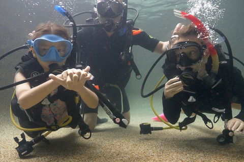 Scuba Kids- Padi Bubblemaker Course - Kempsey Accommodation 4