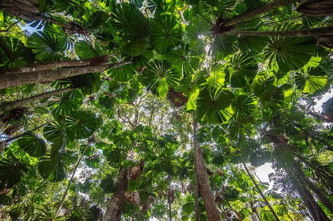 5 Day Australia Retreat: Queensland Daintree - Kempsey Accommodation 4