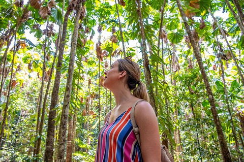 5 Day Australia Retreat: Queensland Daintree - Kempsey Accommodation 3