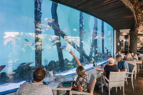 Cairns Aquarium Tour By Twilight With Drink And Appetiser - Kempsey Accommodation 1