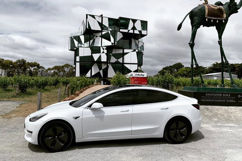 Adelaide Airport Arrival Transfer OR Tour In A Tesla Model3 EV - Kempsey Accommodation 3