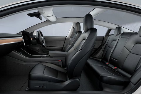 Adelaide Airport Arrival Transfer OR Tour In A Tesla Model3 EV - Kempsey Accommodation 5