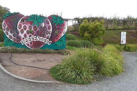 Adelaide Hills Regional / Hahndorf German Village Tour - Kempsey Accommodation 6