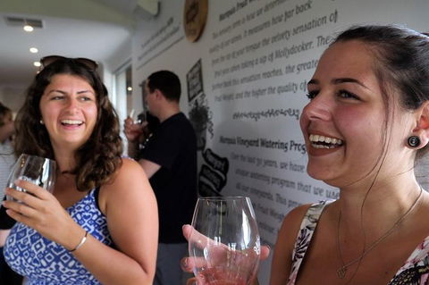 Luke\'s Wine Tour - Kempsey Accommodation 6