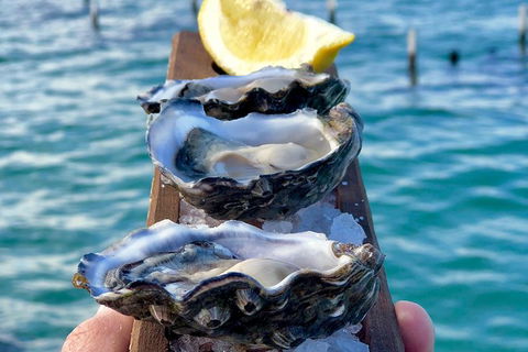 Coffin Bay Oysters, Ocean & Nature Tour - Kempsey Accommodation 0