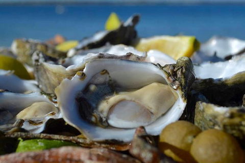 Coffin Bay Oysters, Ocean & Nature Tour - Kempsey Accommodation 8