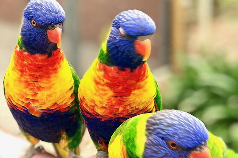 Coffin Bay Oysters, Ocean & Nature Tour - Kempsey Accommodation 9