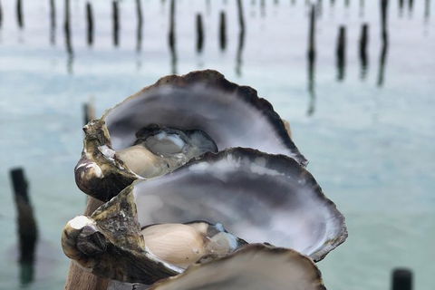 Coffin Bay Oysters, Ocean & Nature Tour - Kempsey Accommodation 6
