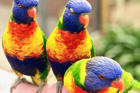 Coffin Bay Oysters, Ocean & Nature Tour - Kempsey Accommodation 1