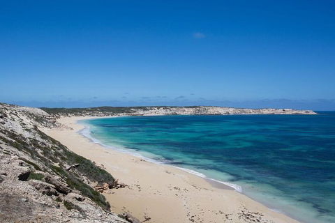 Coffin Bay Oysters, Ocean & Nature Tour - Kempsey Accommodation 16