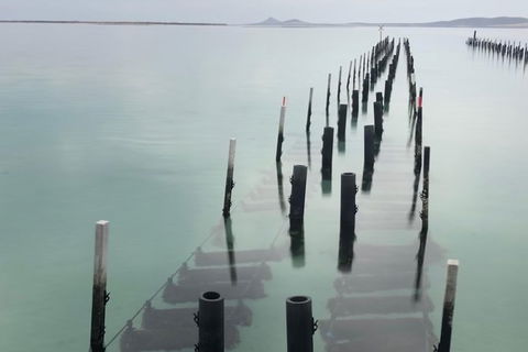 Coffin Bay Oysters, Ocean & Nature Tour - Kempsey Accommodation 15