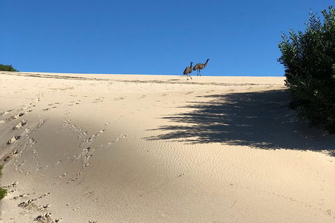 Coffin Bay Oysters, Ocean & Nature Tour - Kempsey Accommodation 4
