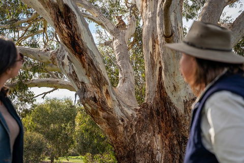 NEW TOUR - Kangaroo Island Road To Recovery Tour (1 Day/1 Night) - Kempsey Accommodation 2