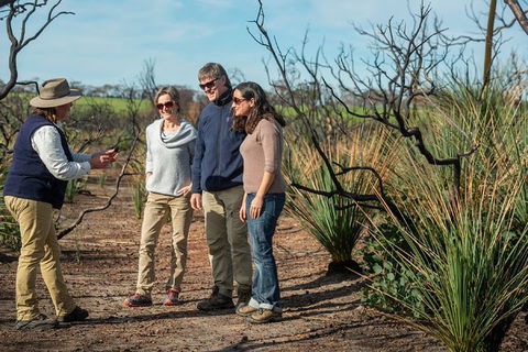 NEW TOUR - Kangaroo Island Road To Recovery Tour (1 Day/1 Night) - Kempsey Accommodation 0