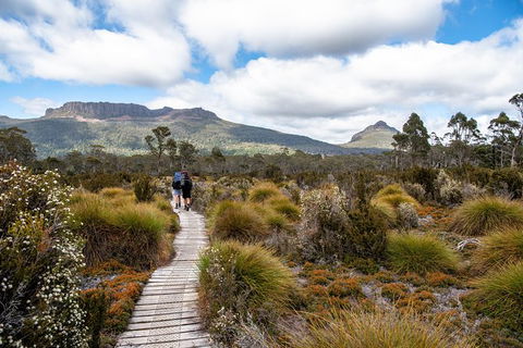 Cradle Mountain Day Tour - Kempsey Accommodation 0