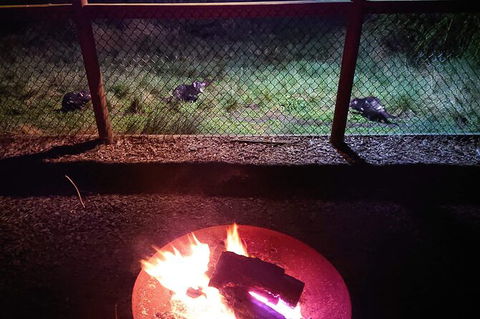 Sunset Experience - Kempsey Accommodation 3