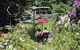 Launceston Private Charter Service - thumb 3