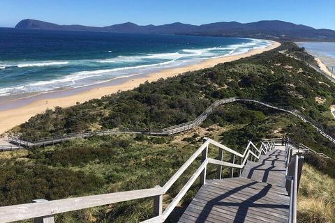 4-Day Fabulous Tasmania Tour: Wineglass Bay, Port Arthur, Devils & Bruny Island - Kempsey Accommodation 3