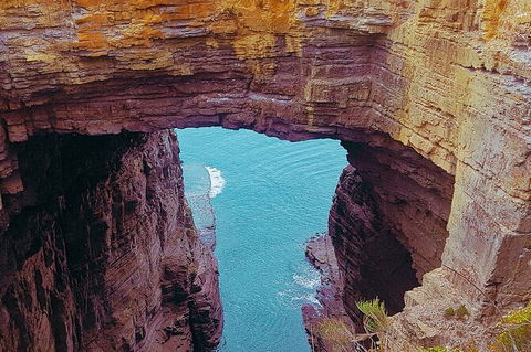 4-Day Fabulous Tasmania Tour: Wineglass Bay, Port Arthur, Devils & Bruny Island - Kempsey Accommodation 6