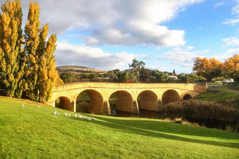 4-Day Fabulous Tasmania Tour: Wineglass Bay, Port Arthur, Devils & Bruny Island - Kempsey Accommodation 7