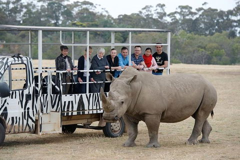 Off-Road Safari At Werribee Open Range Zoo - Kempsey Accommodation 0