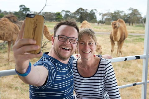 Off-Road Safari At Werribee Open Range Zoo - Kempsey Accommodation 5