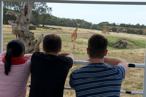 Off-Road Safari At Werribee Open Range Zoo - Kempsey Accommodation 4
