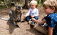 Moonlit Sanctuary Wildlife Conservation Park Daytime General Entry Ticket - thumb 2
