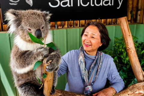 Moonlit Sanctuary Wildlife Conservation Park Daytime General Entry Ticket - Kempsey Accommodation 6