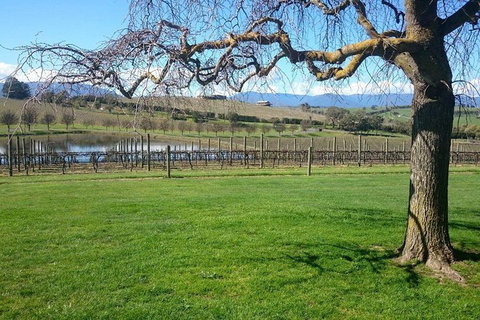 CHEVY CONVERTIBLE TOUR Per Group Up To 4 People. - Kempsey Accommodation 2