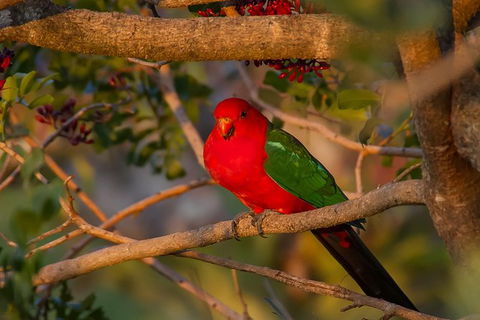 LGBT+ Friendly 12-Hour Great Ocean Road Private Tour - Kempsey Accommodation 1