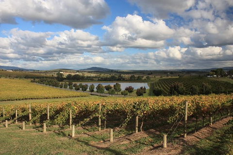 LGBT+ Friendly Full Day Yarra Valley & Dandenong Ranges Private Tour - Kempsey Accommodation 0