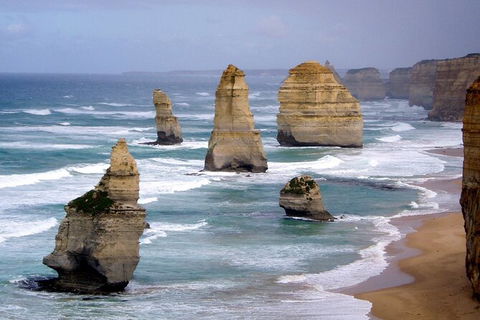 LGBT+ Friendly 2 Day Private Tour Great Ocean Road + Phillip Island - Kempsey Accommodation 0