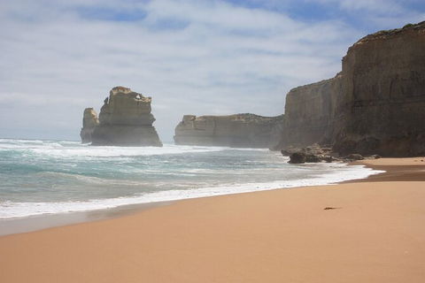 LGBT+ Friendly 3 Day Private Tour Great Ocean Road + Phillip Island - Kempsey Accommodation 0