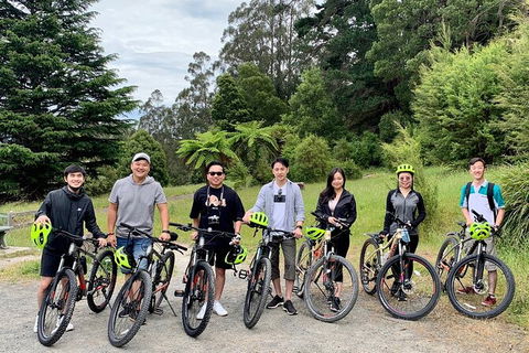 Aqueduct And Rail Trail Self-Guided Bike Tour In Warburton - Kempsey Accommodation 0