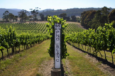 Mornington Peninsula 2-6 Guests Lunch Rare Hare Or Merricks General Wine Store - Kempsey Accommodation 5