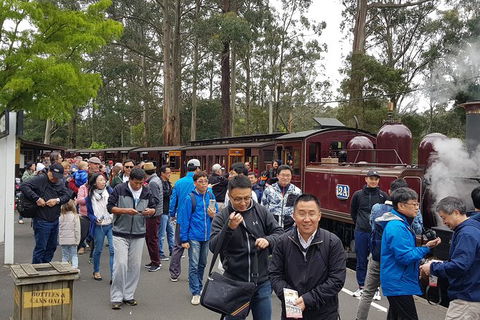 Day Tour Of Yarra Valley Puffing Billy And Rayners Orchard - Kempsey Accommodation 3