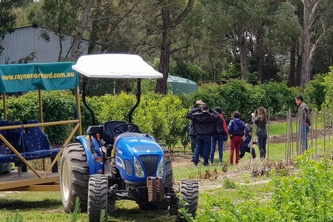 Day Tour Of Yarra Valley Puffing Billy And Rayners Orchard - Kempsey Accommodation 10