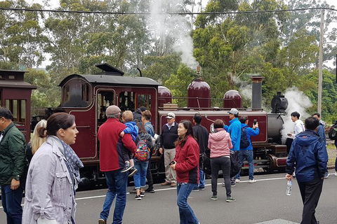 Day Tour Of Yarra Valley Puffing Billy And Rayners Orchard - Kempsey Accommodation 4