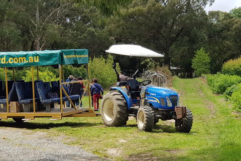 Day Tour Of Yarra Valley Puffing Billy And Rayners Orchard - Kempsey Accommodation 25