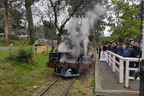 Day Tour Of Yarra Valley Puffing Billy And Rayners Orchard - Kempsey Accommodation 43