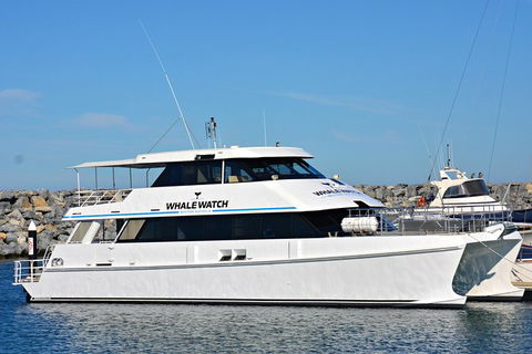 Bremer Bay Orca Experience - Kempsey Accommodation 4