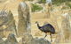 Private, Luxury Pinnacles Tour: Stargazing, Sand-boarding & Sightseeing - thumb 8