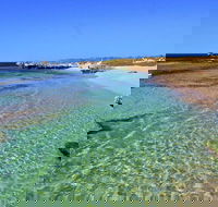 Rottnest Island Bayseeker Day Trip from Perth - Kempsey Accommodation
