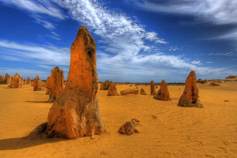Pinnacles Desert, New Norcia And Wildflowers Day Tour From Perth - Kempsey Accommodation 4