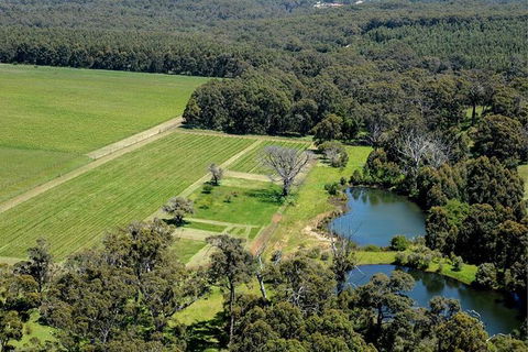 Half Day Wine & Food Tour - Kempsey Accommodation 6