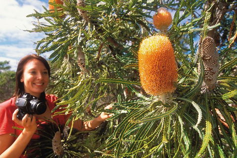 Best Of Perth Wildflower Season Day Trip - Kempsey Accommodation 0